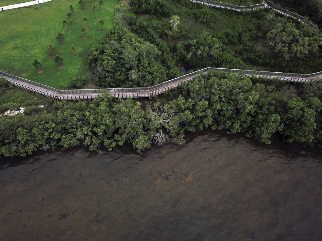 Services An aerial drone shot of Safety Harbor, Florida, natural shoreline, and boardwalks through natures beauty.